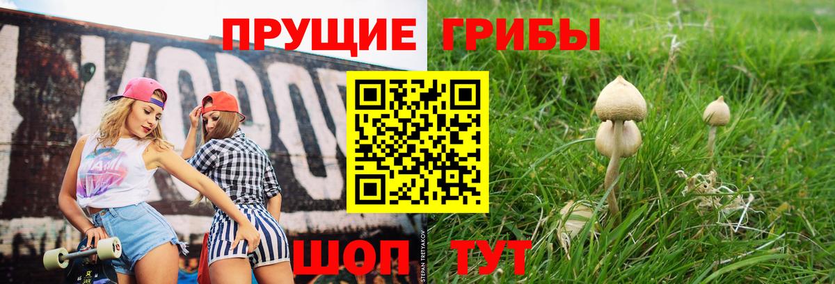 Галлюциногенные грибы MAGIC MUSHROOMS Улан-Удэ